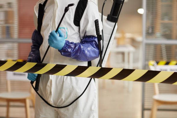 Professional Hoarding Cleanup technician working in Olympic Valley, CA
